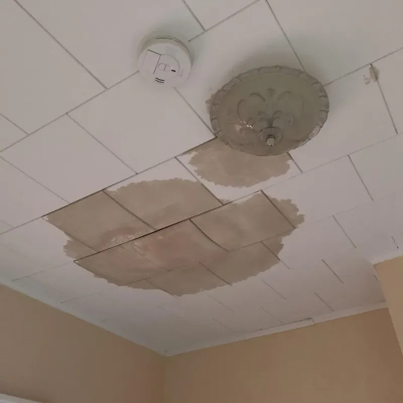 Ceiling Water Damage Repair in Lakeland Highlands, FL